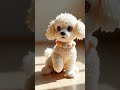 Cute Dogs | Cute Pets #pets #animals #dogs #dogslove #animallover #fuzzy #woolencraft