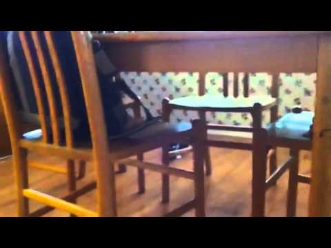 Naima + Magic are friendly at last