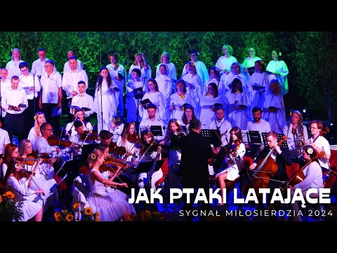 Sygnał Miłosierdzia - Jak ptaki latające #2