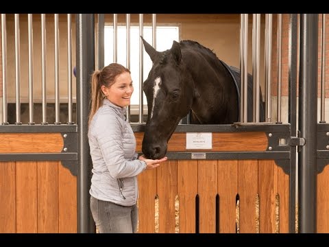 Trainingsopbouw jong paard - Anne en Lotte Meulendijks