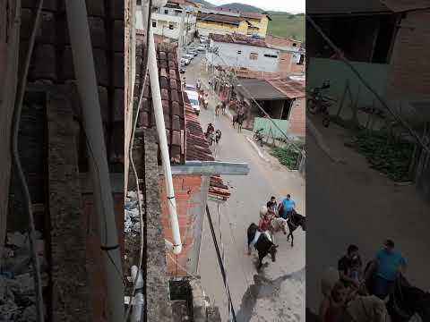 #cavalo #vaquejadaboa #rubensdabahia #minasgerais #palmopolis