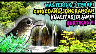 Download lagu MASTERAN CINGCOANG COKLAT GACOR - JONGKANGAN GACOR GEMERICIK AIR mp3 Download lagu MASTERAN CINGCOANG COKLAT GACOR - JONGKANGAN GACOR GEMERICIK AIR mp3