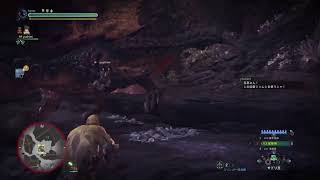 [MHW] 最狂ハンター旦那ちゃんの狩猟日記 王ネル黒焦げ大作戦！