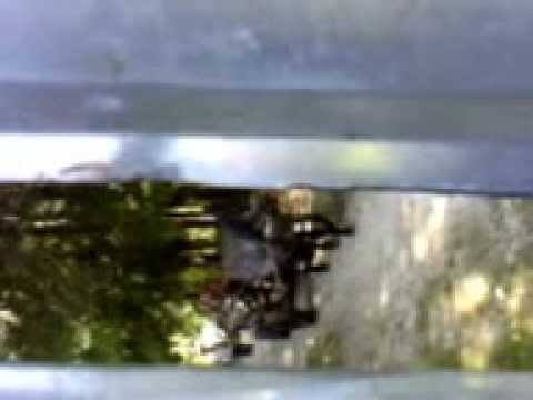 Cum se fura lemne din padure statului....in Jud.Gorj....Sat .Racovita