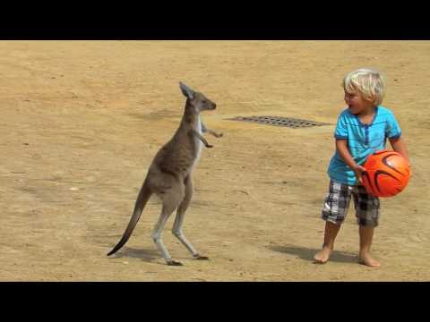 Highway durch Australien (2) Die Nullarbor