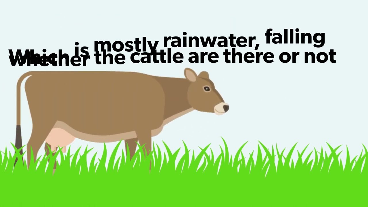 Understanding the 'water footprint' of beef