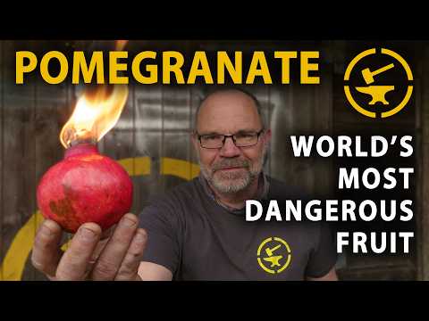 Pomegranate of DEATH!!