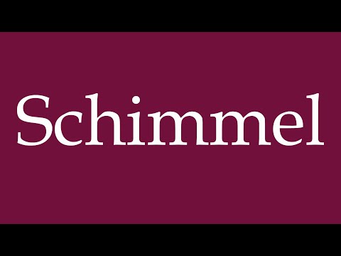 How to Pronounce ''Schimmel'' (Mold) Correctly in German