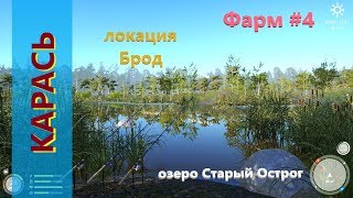 На что ловить карась серебряный озеро