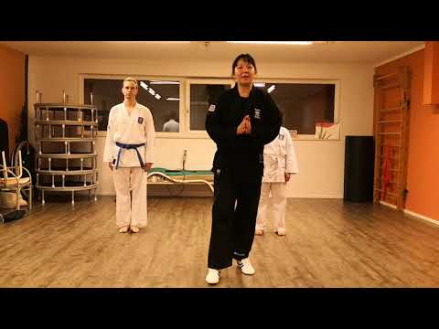 1. CHON-JI HYONG (19 BEWEGUNGEN)