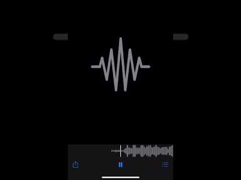 Fredo Bagz Gorillas And Pussies