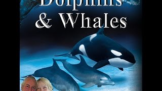 Dolphins &amp; Whales in the Akashic Records