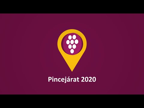Pincejárat összefogaló 2020