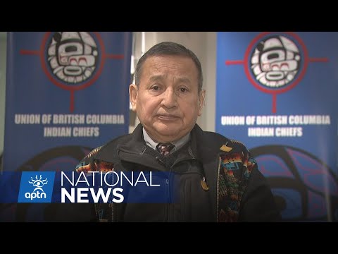 UBCIC Grand Chief shares thoughts on Justice Minister swap | APTN News