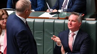 Australia’s ‘energy goals’ won’t be met under Labor’s renewable policy
