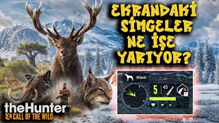 CALL OF THE WİLD NASIL OYNANIR (ÖĞRETİCİ)  | theHunter: Call of the Wi