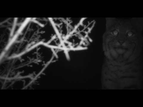 ORL Ep 9 Renewable Resources