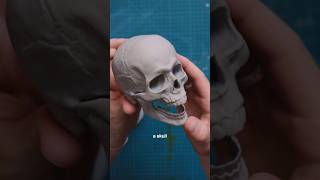 Six Artists Draw a Skull for a Cash Prize