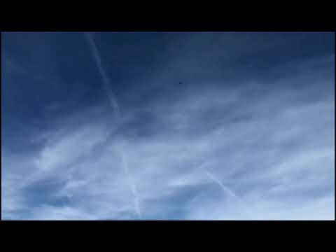 Swift S-1 von Blue Airlines