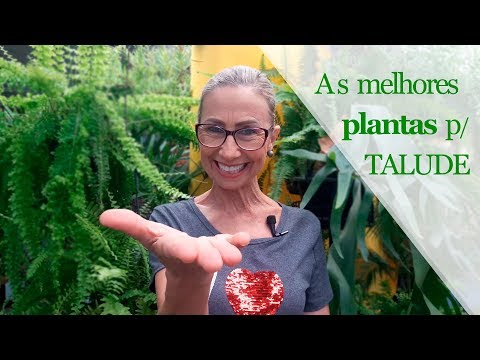 Best plants for slopes #gardening #garden #landscaping #floriculture