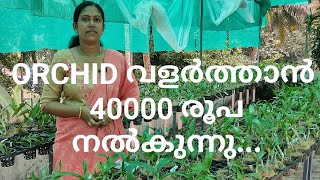 ORCHID വളർത്താൻ 40000 രൂപ നൽകുന്നു / Subsidy for orchid plants/ orchid plants for sale