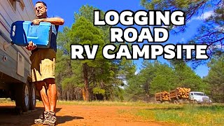 Living Remote In An RV: Raccoon Problems, Flies, and No Mail