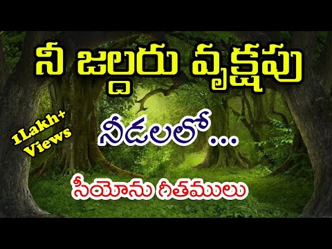 nee jaldaru vruksham needalo song lyrics