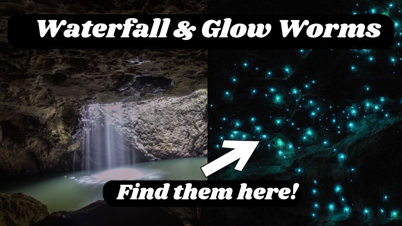 Experience a visit to Natural Bridge through the eyes of traveler.