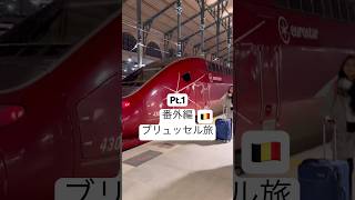 Pt.1です。電車であっという間に到着 #国際カップル #パリ在住 #国際カップル #日仏カップル #ブリュッセル#旅行vlog #ブリュッセル旅行