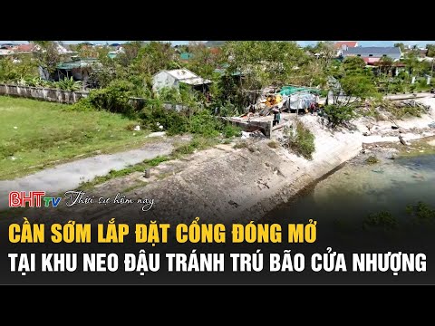 Thời sự tối 15/11: Sớm lắp đặt cổng đóng mở tại khu neo đậu tránh trú bão Cửa Nhượng