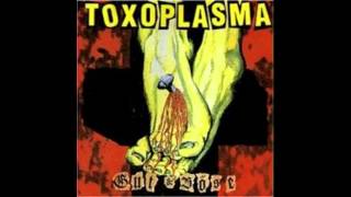 Toxoplasma - Krieg