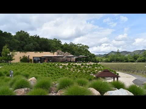 A Visit Through Stag’s Leap Wine Cellars