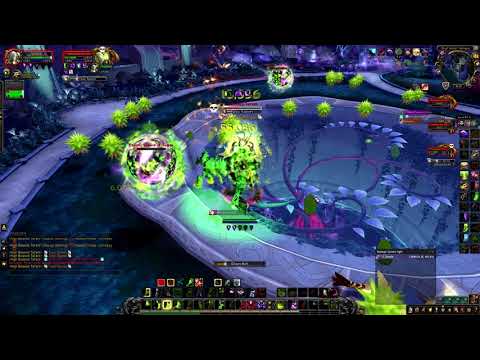 Warlock solo High Botanist Tel'arn mythic