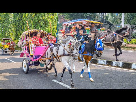 SPECIAL DELMAN RIDE | HORSE DELMAN RIDE - WHITE HORSE | POPULAR CHILDREN'S SONG