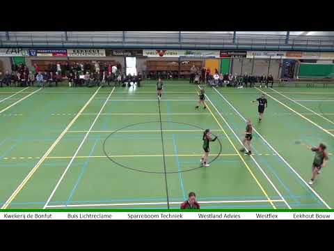 Quintus DS2 -ZAP DS1