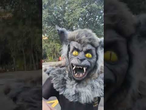 ALWAYS LOBO 😱🤣🤣