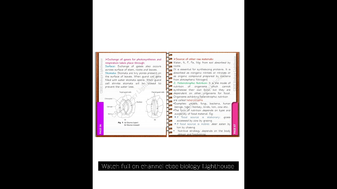 Life processes short notes || CBSE biology class 10 Notebook