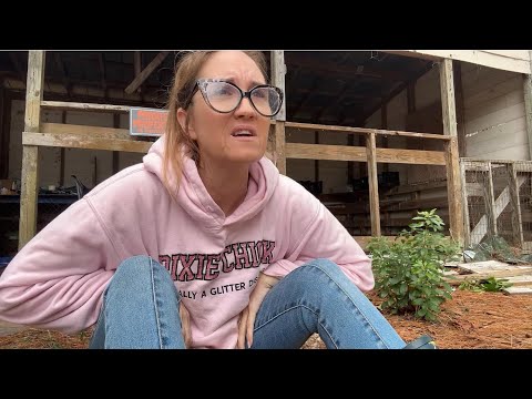 I have to Let you Know What’s Going On… 😭😭