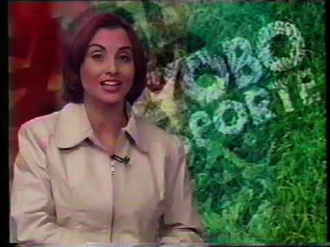 SÃO CAETANO 0x1 BOTAFOGO-SP - Campeonato Brasileiro Série A 2001 - Globo Esporte