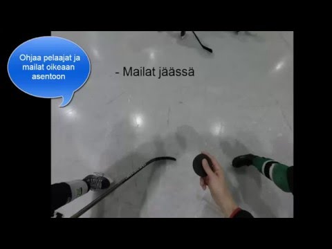 Leijonaliiga pelinohjaus live-osa1-pelin aloitus ja liikkuminen pelin mukana