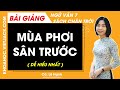Mùa phơi sân trước Ngữ văn lớp 7 Chân trời sáng tạo