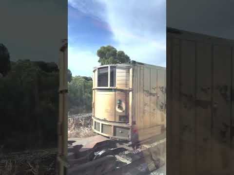 V/Line Vlocity Return Journey to Little River Station Victoria 2023