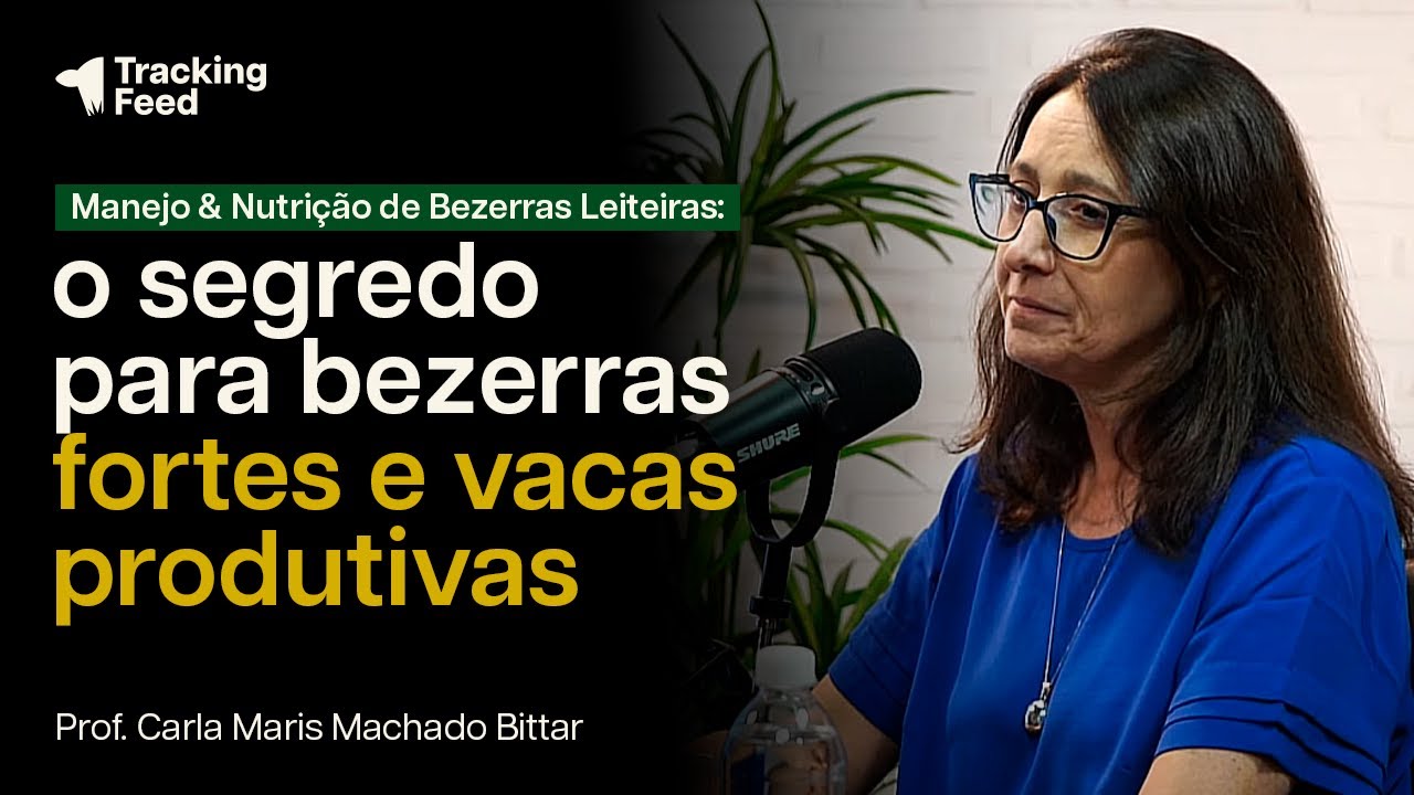 EPISÓDIO 03 - Manejo e Nutrição de Bezerras Leiteiras, com Carla Maris Machado Bittar.