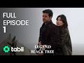 Legend Of The Black Tree Full Episode 1