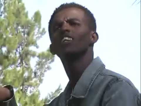 Kaleessaa Gargaartee na fiddee-Tamaam Faaris