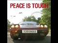 When In Rome... - Terranova [Peace Is Tough]