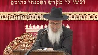 007מצוות ומדות בראשית י''ח (הרב יורם סרי) - התמונה מוצגת ישירות מתוך אתר האינטרנט יוטיוב. זכויות היוצרים בתמונה שייכות ליוצרה. קישור קרדיט למקור התוכן נמצא בתוך דף הסרטון