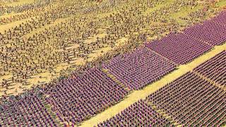 SPARTACUS Marches for ROME (80K MEN Land & Siege Battle) - Total War ROME 2