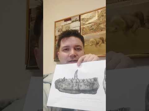 Deset nejvýznamnějších dinosaurů v dějinách paleontologie - Médium.cz