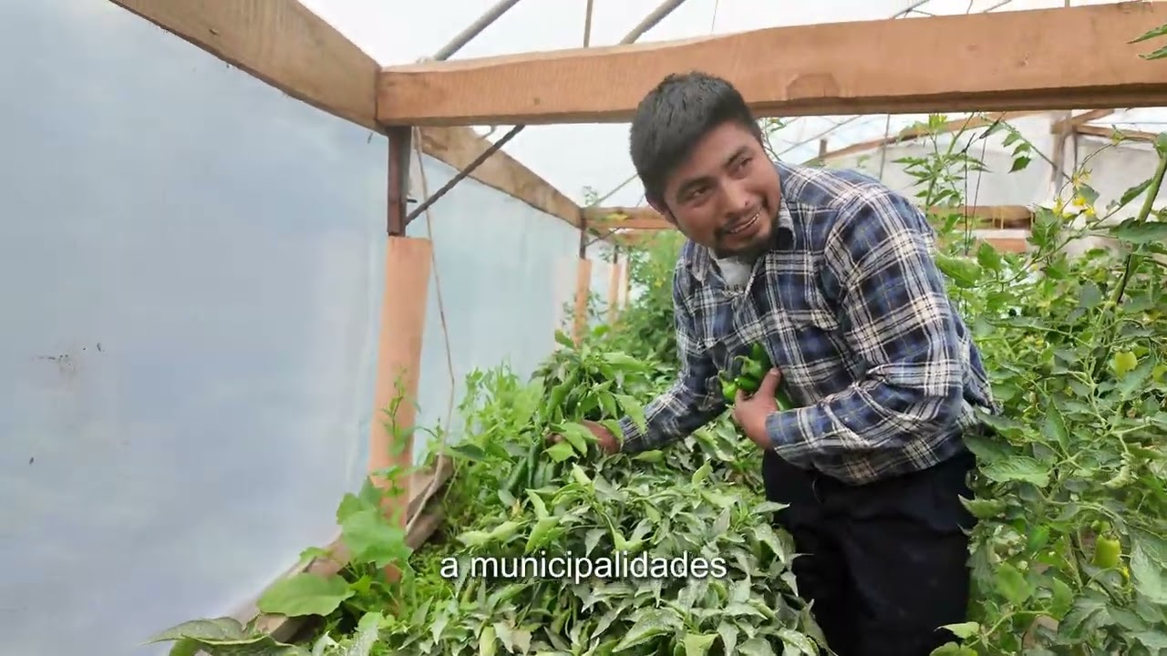Historia de Éxito: El Valor de Emprender al Regresar del Proyecto PROCOEES